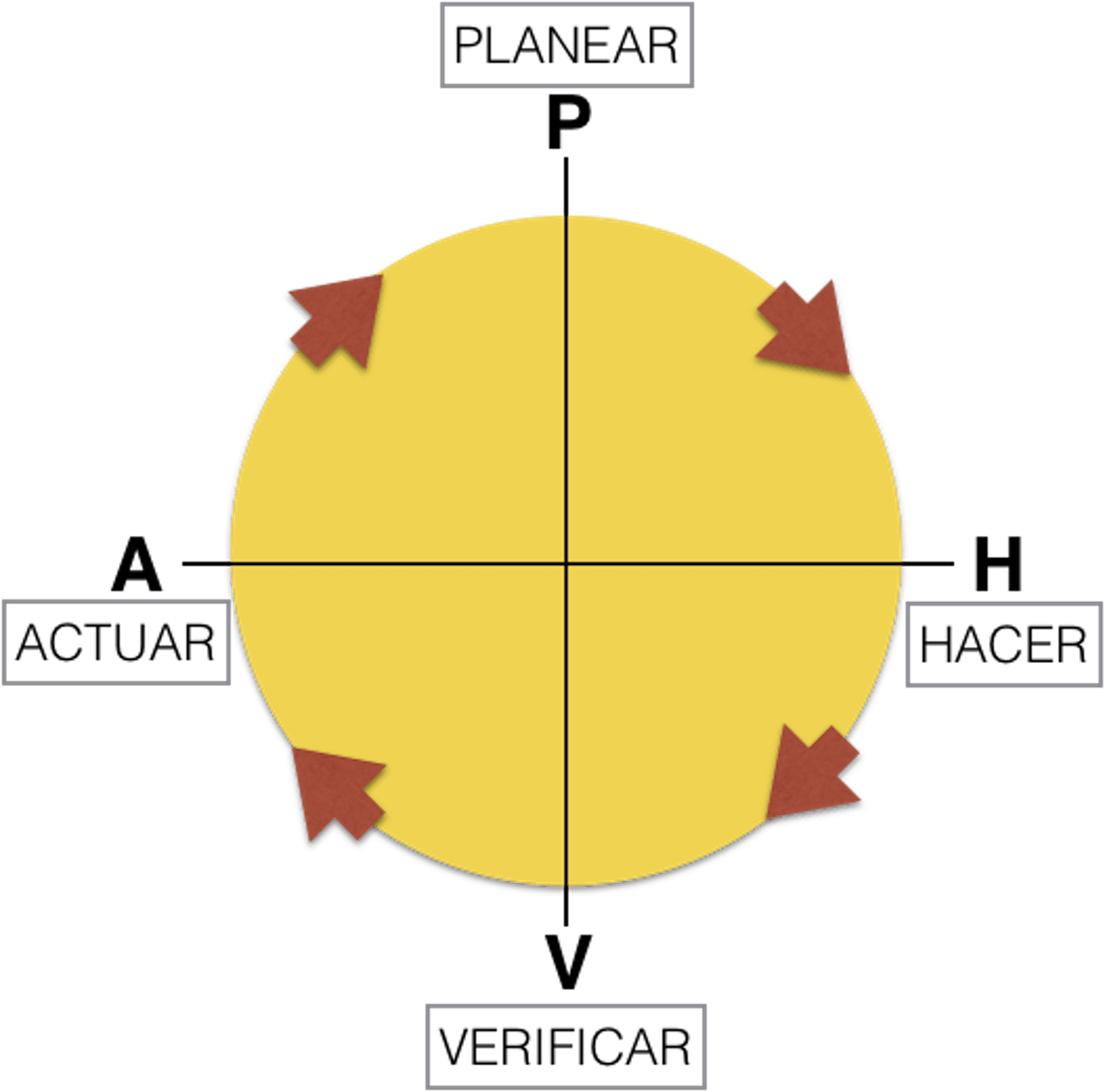 ciclo de la v